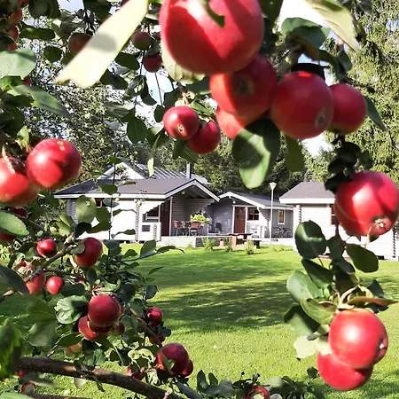 Camping Huhtaniemen Moekkikylae Veteli