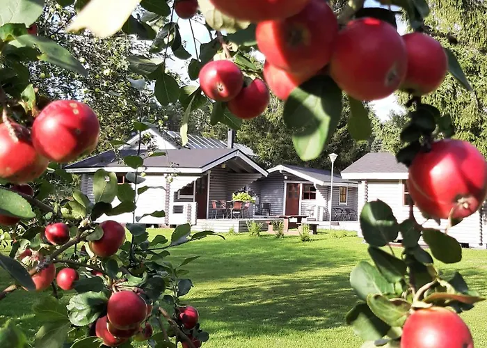 Camping Huhtaniemen Moekkikylae Veteli