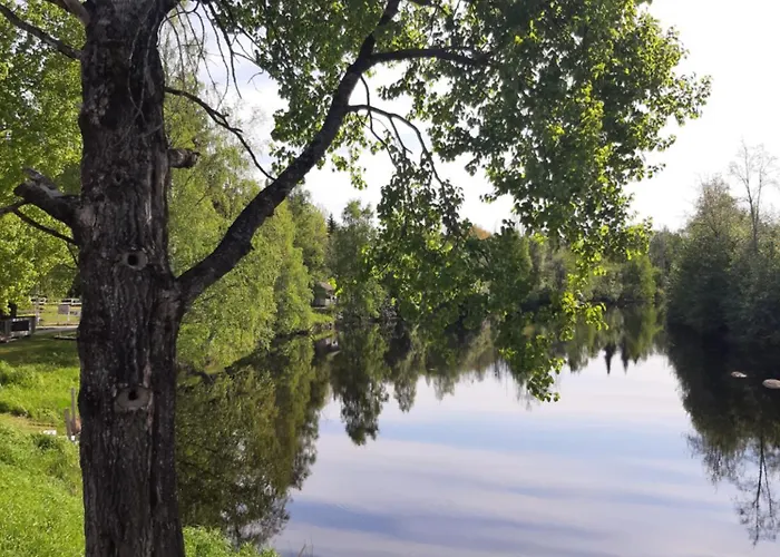 Huhtaniemen Moekkikylae *